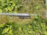 image of grave number 662855